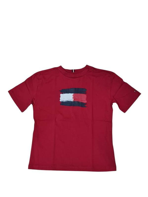 NEW COLLECTION
T-SHIRT MANICA CORTA TOMMY HILFIGHER RED PASSION
B10111