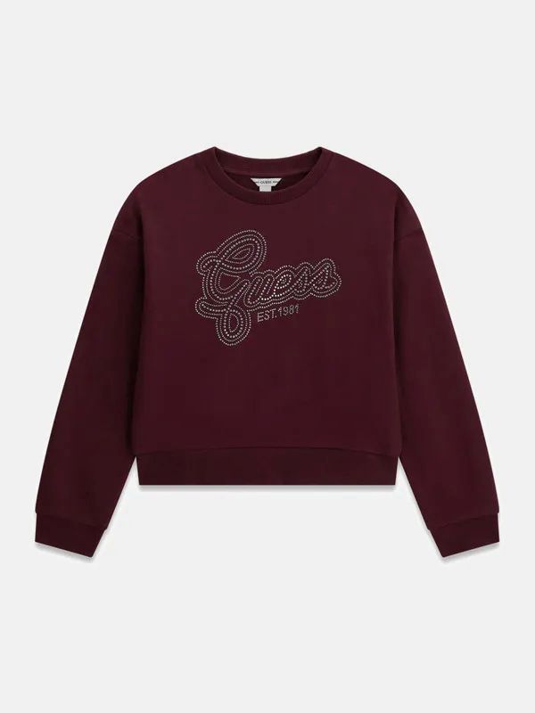 NOVITA
FELPA IN CALDO COTONE GUESS RAGAZZA BORDEAUX CON STRASS
J6YQ05K3899