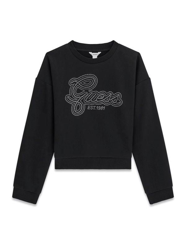 NOVITA'
FELPA IN CALDO COTONE GUESS RAGAZZA NERA CON STRASS
J6YQ05K3899
