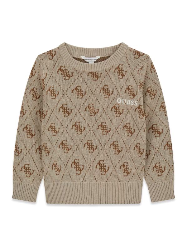 NOVITA'
MAGLIONE IN FILO CALDO COTONE BISCOTTO GUESS RAGAZZO LOGATO
L6YR15Z0893