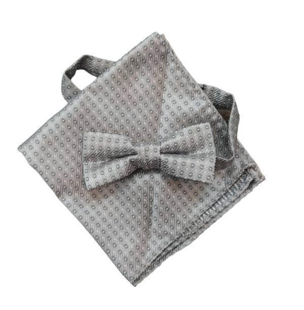 PAPILLON E POCHETTE TASCHINO BAMBINO E RAGAZZO GRIGIO MARCIANO BY GUESS L74Z01W9F10