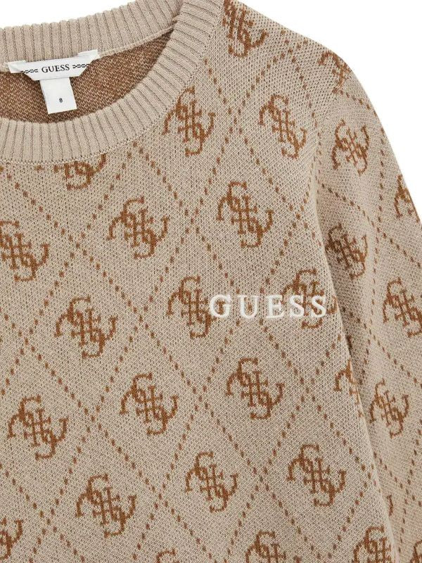 NOVITA'
MAGLIONE IN FILO CALDO COTONE BISCOTTO GUESS RAGAZZO LOGATO
L6YR15Z0893