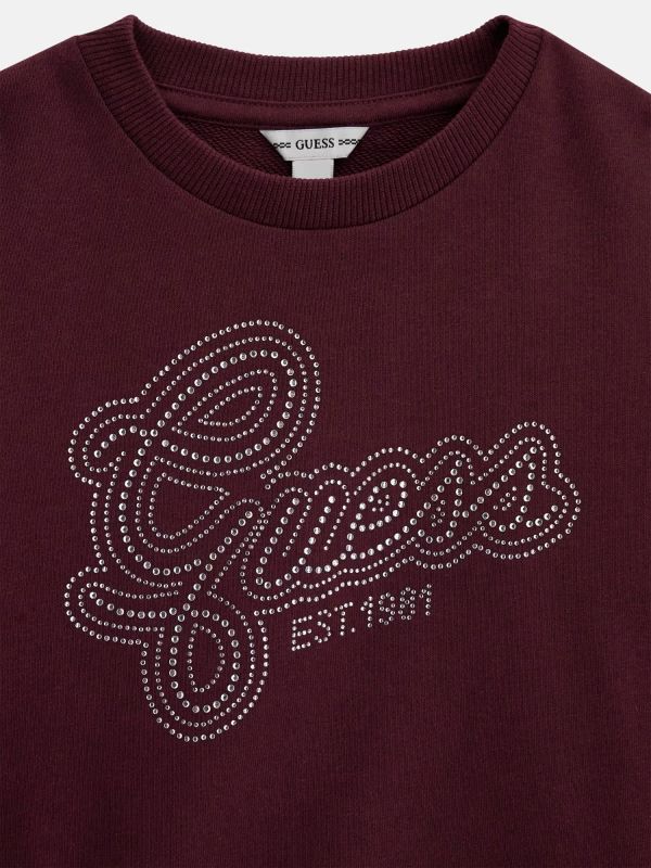 NOVITA
FELPA IN CALDO COTONE GUESS RAGAZZA BORDEAUX CON STRASS
J6YQ05K3899