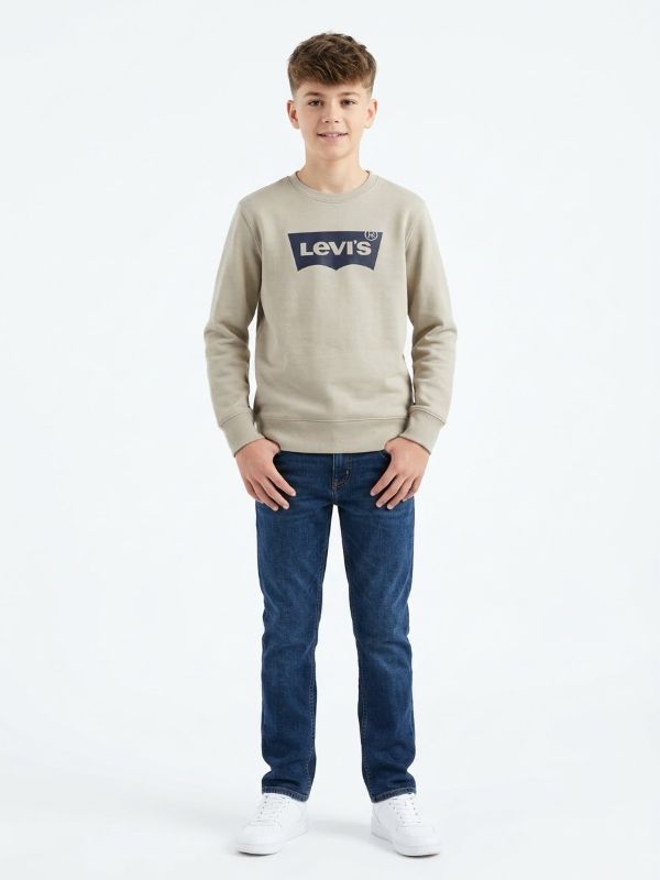 NOVITA'
FELPA  LEVI'S RAGAZZO FELPATA BASIC BEIGE E BLU
9E9079
