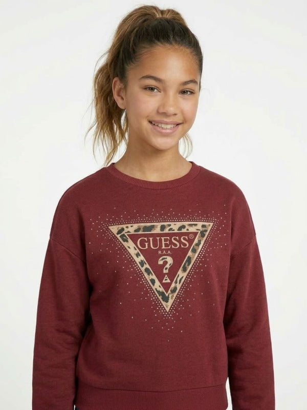 NOVITA'
FELPA GUESS RAGAZZA BORDEAUX CON LOGO ANIMALIER
J6BQ07K6093